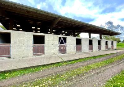 Domaine Equestre à 25 Minutes De Caen