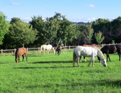 Domaine Equestre à 25 Minutes De Caen