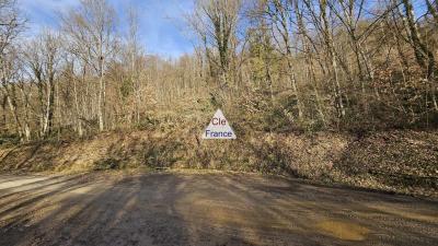 Exclusivite Cesarches (73200) : Terrain Forestier De 3.81 Hectares