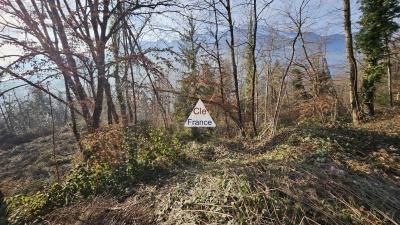 Exclusivite Cesarches (73200) : Terrain Forestier De 3.81 Hectares