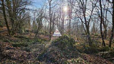 Exclusivite Cesarches (73200) : Terrain Forestier De 3.81 Hectares