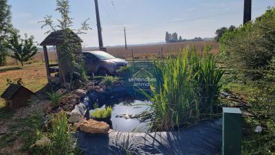 Maison Renovee à Vendre à Proximite De La Loupe (28240)  Opportunite Rare !