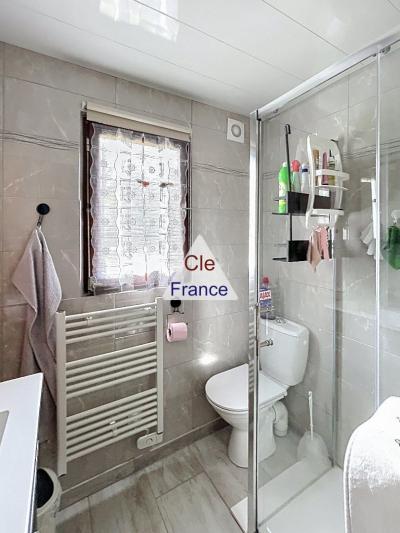 Maison Style Chalet 53m2 Sur 2196m2 De Terrain à Boismorand (45290)
