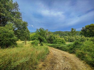 Allemagne En Provence - Terrain Constructible - 1900m² - Piscinable-expose Sud Est - Non Viabilise -
