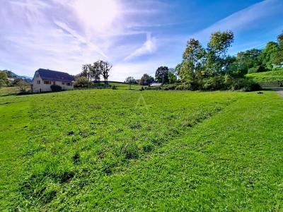 Terrain De 1000 M² Constructible Et Viabilise, à 5 Minutes De Lourdes