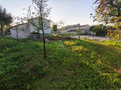 Terrain A Batir