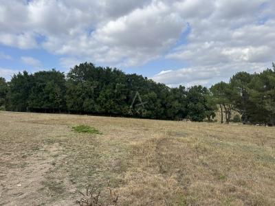 Ancienne Maison à Renover Sur Un Terrain De 6 100 M² Fort Potentiel, 25 Min Au Sud D\'angouleme