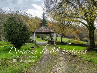 Domaine Avec Ruisseau Et Lac Sur 88 Hectares