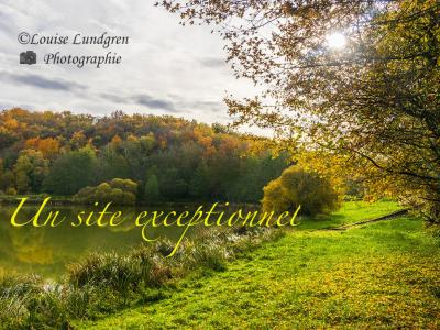 Domaine Avec Ruisseau Et Lac Sur 88 Hectares