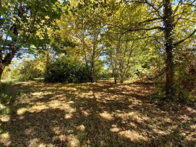 - Land - Aquitaine - For Sale - 7164t-vi