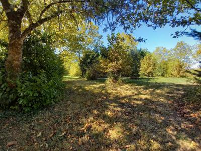 - Land - Aquitaine - For Sale - 7164t-vi