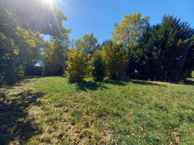 - Land - Aquitaine - For Sale - 7164t-vi