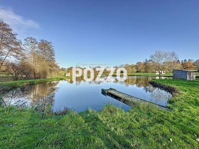 Property For Sale