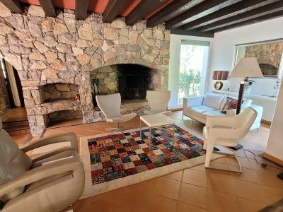 A Haven Of Peace Nestling In A Pine Forest - Charming Villa 10 Minutes From The Town Centre.