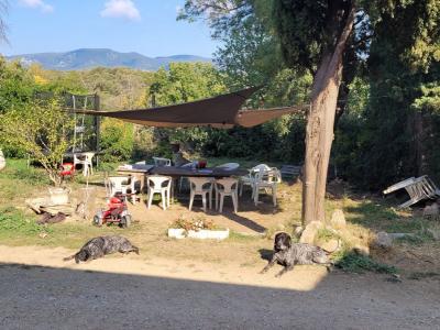 Beautiful Character Property With Tower, Former 13th Century Sheepfold Converted Into A Wine Estate