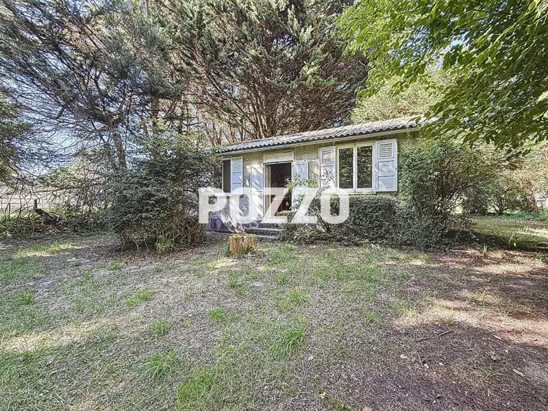 Property For Sale