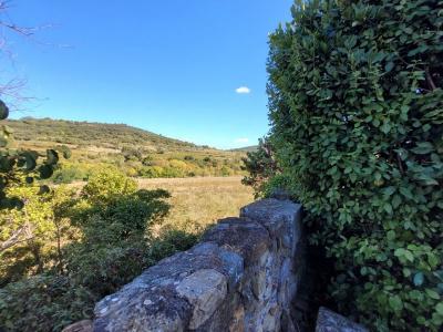 Elegant Winegrower\'s House With 370 M2 Of Living Space On 1548 M2 Of Land With Swimming Pool And Vi