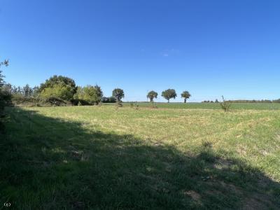 &#8364;19000 - Level Building Plot On 1700m2 In A Village With Mains Drainage Available