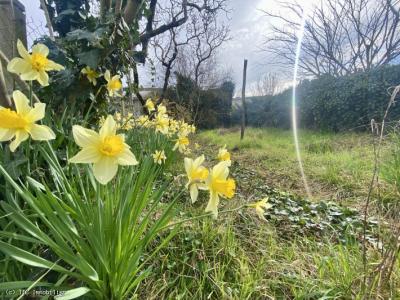 &#8364;90950 - Lovely Little Ruffec Town House With Garden And Outbuildings