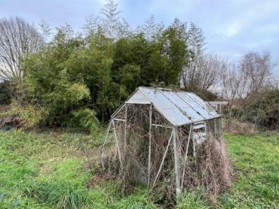 &#8364;24000 - Small Barn Renovate In A Quiet Area - Near Champagne-mouton