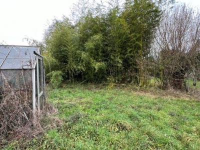 &#8364;24000 - Small Barn Renovate In A Quiet Area - Near Champagne-mouton