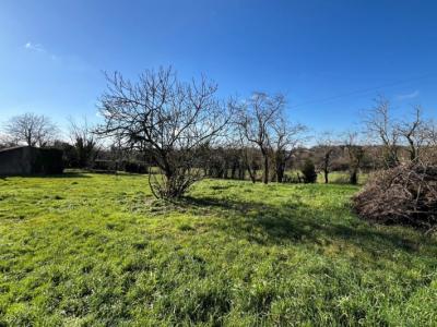 &#8364;161700 - Charming 3 Bedroom House Renovated With Natural Materials