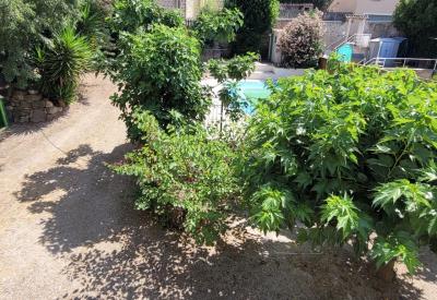 Former Winegrower\'s Property With Independent Gite - Ideal For Lifestyle Project Or Rental Income.
