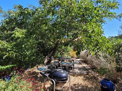 Charming Old Winegrower\'s House With 170 M2 Living Space And A 225 M2 Garden.