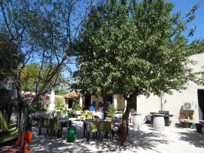 Charming Winegrowers House With A Gite, All Together 340 M2 Of Living Space, Sunny Courtyard And Poo