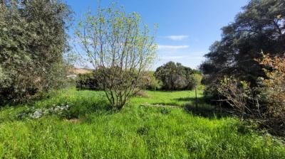 Building Plot Of 1210 M2 In The Heart Of The Village In A Quiet Lane.