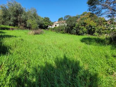 Old Character House To Renovate With 155 M2 Living Space Plus Separate Flat On 2095 M2 Of Building L