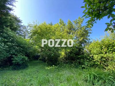 Property For Sale