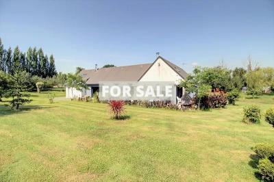 Property For Sale