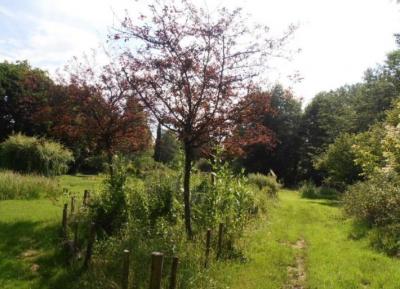 &#8364;529000 - Watermill In An Idyllic Setting