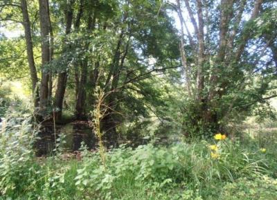 &#8364;529000 - Watermill In An Idyllic Setting