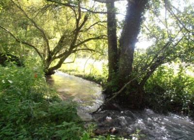 &#8364;529000 - Watermill In An Idyllic Setting