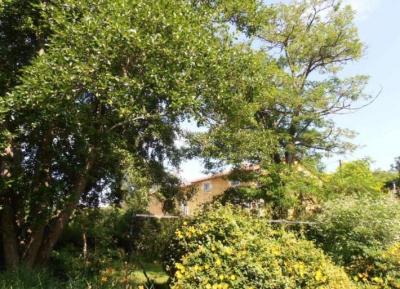 &#8364;529000 - Watermill In An Idyllic Setting