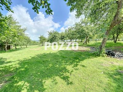 Property For Sale