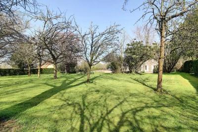 Property For Sale