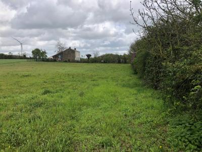 Terrain A Batir - Proche De Loulay