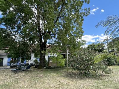 Stone House - 10 Km From St-jean-d\'angely