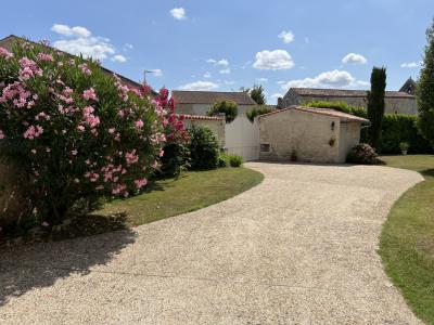 Charentaise - A 5 Km De St-jean D\'angely