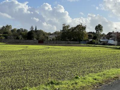 Building Land - Loulay