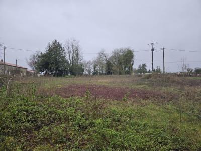 Building Land - Between Matha & Aulnay-de-saintonge