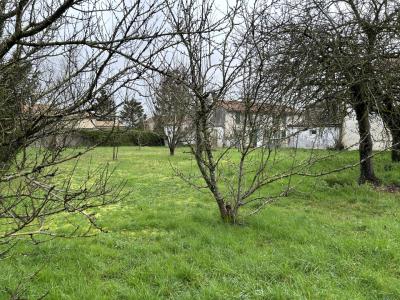 Stone House - Sud Deux Sevres