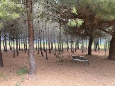 Gruissan, 3km From The Beaches, Renovated Character House With 5 Bedrooms, On A 2.5 Hectare Park, Wi