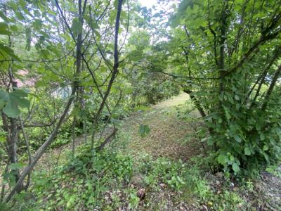 Couiza - Stone House 82.42m2 On Large Garden Of 1548m2