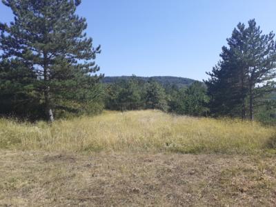 Couiza-building Land Of 2974 M2 + Attached Moorland Of 29643 M2