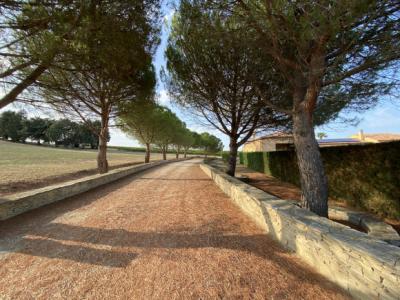 Prestigious House On 5700m2 Of Land Just 5km From Limoux. Panoramic View Of The Pyrenees.