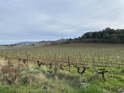 Exceptional Property Near Limoux -